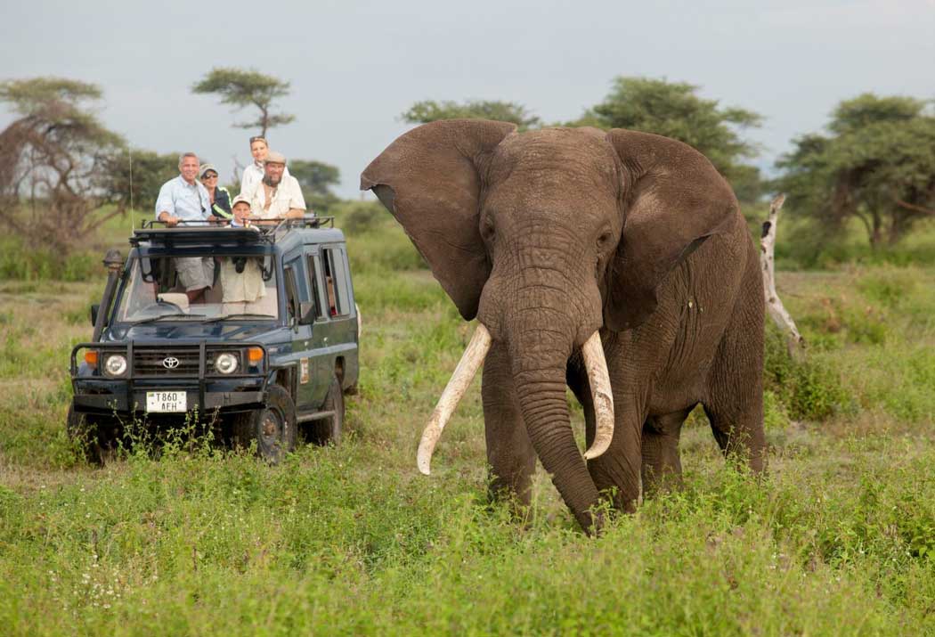 Best-Nature-&-Wildlife-Trips-in-Africa