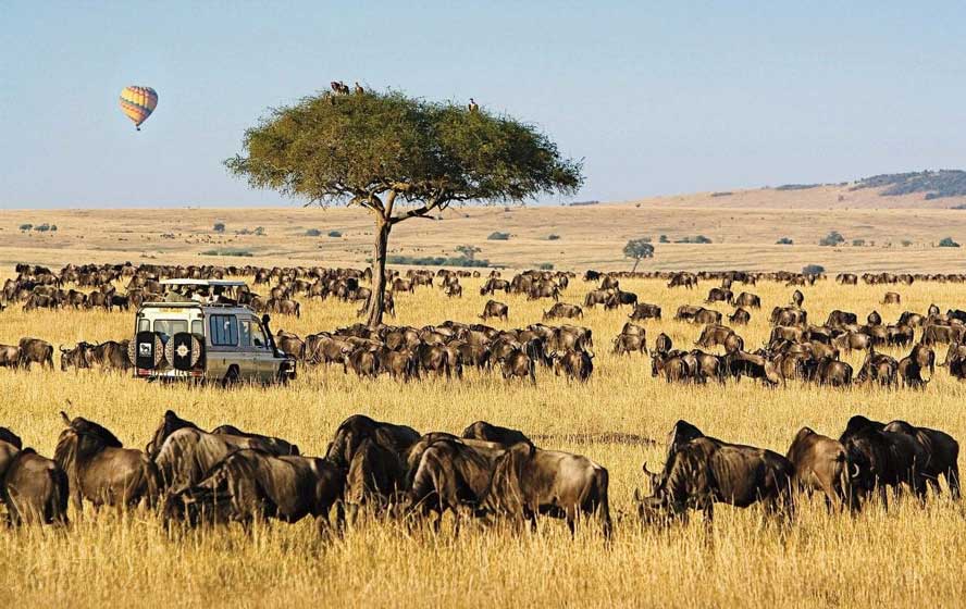 Maasai-Mara-National-Reserve-Kenya