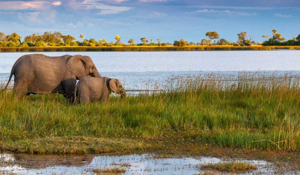 Okavango-Delta-Botswana