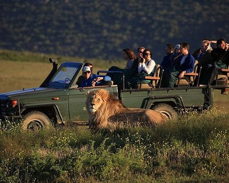 Overview-of-Africa-Tourism-Best-Nature-&-Wildlife-Trips-in-Africa