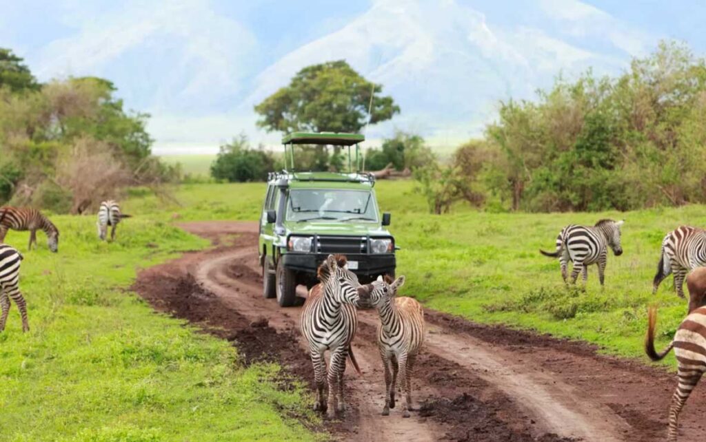 Pros-&-Cons-of-Africa-Tourism-Best-Nature-&-Wildlife-Trips-in-Africa